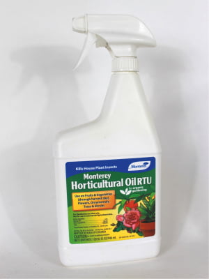 horticultural oil front