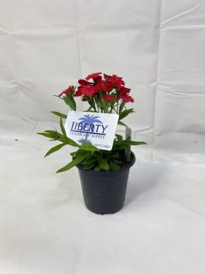 Home Liberty Landscape Supply, Liberty Landscape Supply At Trad S