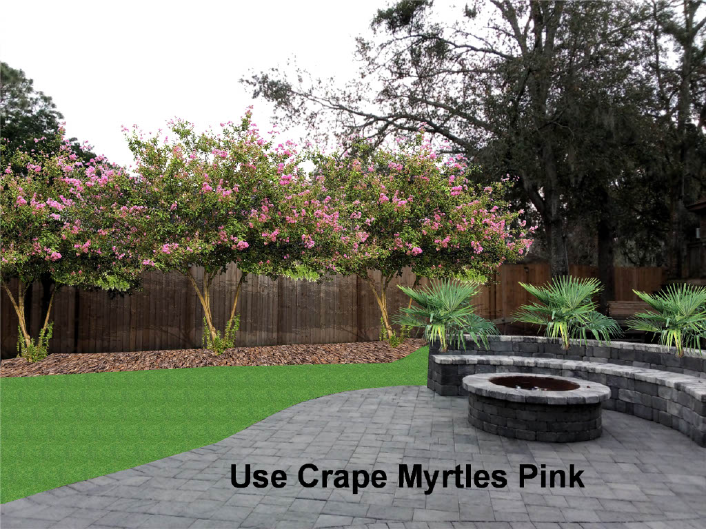 Use Crape Myrtles Pink1024_1