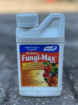 fungi max con
