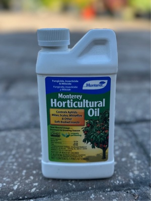 horticultural oil con